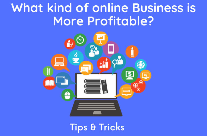 What Kind of Online Business is More Profitable?