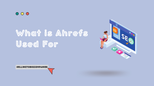 What is Ahrefs Used For - SellingToBigCompanies