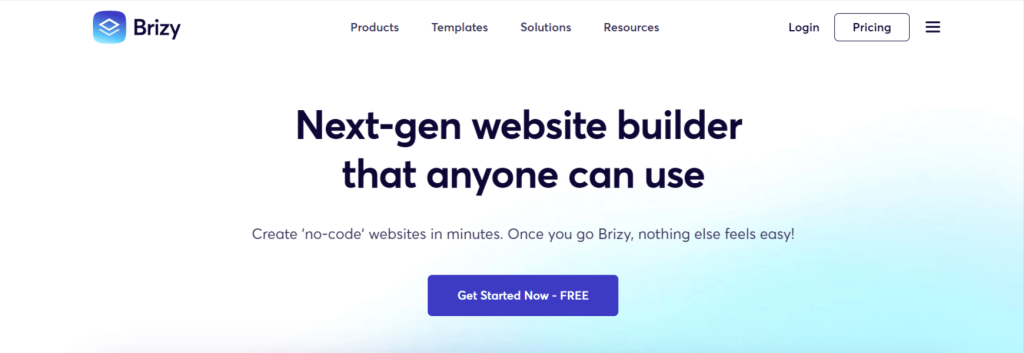 Brizy Overview Brizy Overview